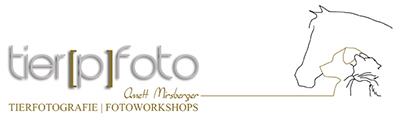 Banner Tierpfoto Annett Miersberger