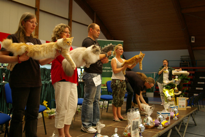 Haegar bei der Best in Show