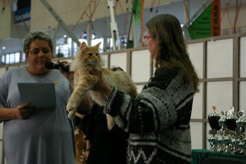 Haegar bei der Best in Show