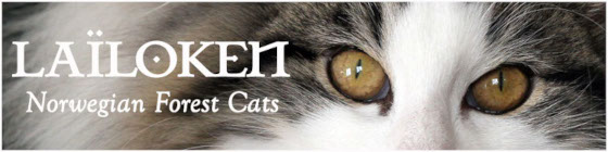 Banner Lailoken