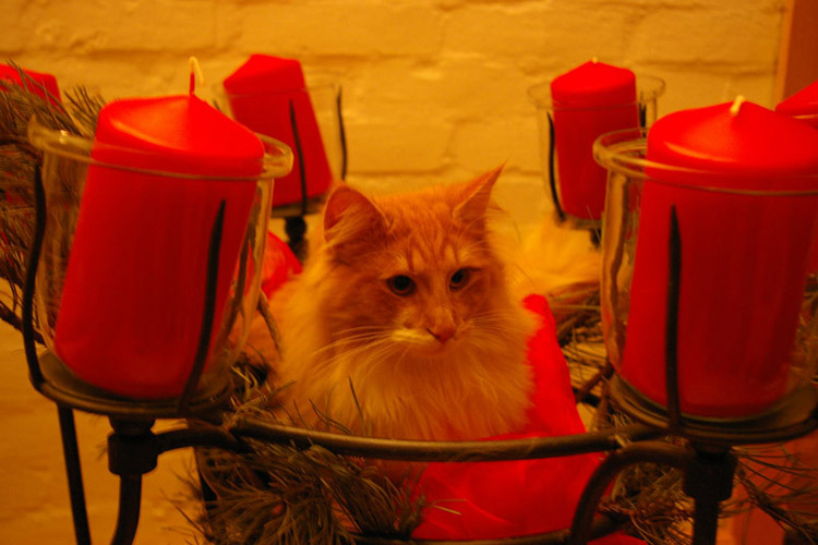 Kerzenleuchter mit David